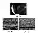 Fig. 02 - Membrane