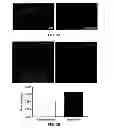 Fig. 04 - Membrane