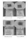 Fig. 01 - Compositions comprising honey and a super-absorbent material