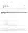 Fig. 04 - Oral solid formulation of compound anti-tubercular drug and preparation method thereof