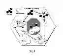 Fig. 02 - Adjuvant incorporation in immunoanotherapeutics