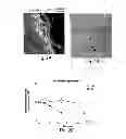 Fig. 03 - Adjuvant incorporation in immunoanotherapeutics