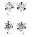 Fig. 04 - Adjuvant incorporation in immunoanotherapeutics