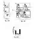Fig. 08 - Adjuvant incorporation in immunoanotherapeutics