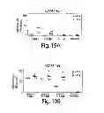 Fig. 22 - Adjuvant incorporation in immunoanotherapeutics