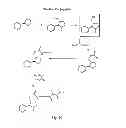 Fig. 41 - Adjuvant incorporation in immunoanotherapeutics