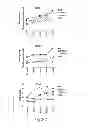 Fig. 46 - Adjuvant incorporation in immunoanotherapeutics