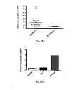 Fig. 50 - Adjuvant incorporation in immunoanotherapeutics