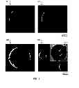 Fig. 06 - Multifunctional nanoparticle designs and applications