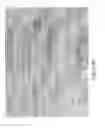 Fig. 03 - MICROPELLET COMPOSITIONS COMPRISING PANCREATIN CONTAINING DIGESTIVE ENZYME MIXTURE