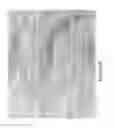 Fig. 08 - MICROPELLET COMPOSITIONS COMPRISING PANCREATIN CONTAINING DIGESTIVE ENZYME MIXTURE