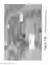 Fig. 24 - MICROPELLET COMPOSITIONS COMPRISING PANCREATIN CONTAINING DIGESTIVE ENZYME MIXTURE