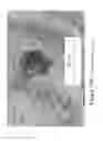 Fig. 26 - MICROPELLET COMPOSITIONS COMPRISING PANCREATIN CONTAINING DIGESTIVE ENZYME MIXTURE