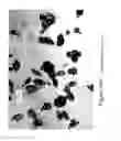 Fig. 27 - MICROPELLET COMPOSITIONS COMPRISING PANCREATIN CONTAINING DIGESTIVE ENZYME MIXTURE
