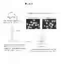 Fig. 02 - Encapsulated cells for hormone replacement therapy