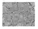 Fig. 01 - PROCESS FOR THE PREPARATION OF KISH GRAPHITIC LITHIUM-INSERTION ANODE MATERIALS FOR LITHIUM-ION BATTERIES