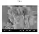 Fig. 04 - Method for producing vacuum insulation material