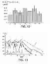 Fig. 07 - Caprolactam-based composition, process for manufacturing an impermeable element, and tank