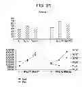 Fig. 22 - COMPOSITE LAMINATE, METHOD OF MANUFACTURE AND USE THEREOF