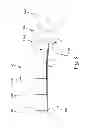 Fig. 03 - ARTICLE(S) WITH SOFT NONWOVEN WEB