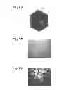Fig. 06 - SiC single crystal and method of producing same
