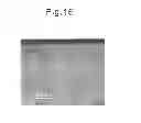Fig. 09 - SiC single crystal and method of producing same