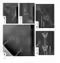 Fig. 07 - HIGH ASPECT RATIO POLYMER ELONGATE AND ONE-DIMENSIONAL MICRO STRUCTURE FABRICATION