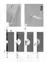 Fig. 08 - HIGH ASPECT RATIO POLYMER ELONGATE AND ONE-DIMENSIONAL MICRO STRUCTURE FABRICATION