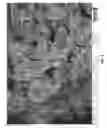 Fig. 06 - Stabilization of battery electrodes