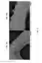 Fig. 16 - Stabilization of battery electrodes