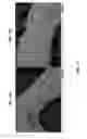 Fig. 16 - Stabilization of battery electrodes using polymer coatings