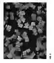 Fig. 05 - Taggent flakes for covert security applications having a selected shape