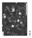 Fig. 07 - Taggent flakes for covert security applications having a selected shape