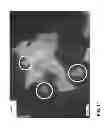 Fig. 08 - Taggent flakes for covert security applications having a selected shape