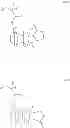 Fig. 63 - RESIST COMPOSITION FOR NEGATIVE DEVELOPMENT WHICH IS USED FOR FORMATION OF GUIDE PATTERN, GUIDE PATTERN FORMATION METHOD, AND METHOD FOR FORMING PATTERN ON LAYER CONTAINING BLOCK COPOLYMER