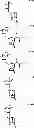 Fig. 68 - RESIST COMPOSITION FOR NEGATIVE DEVELOPMENT WHICH IS USED FOR FORMATION OF GUIDE PATTERN, GUIDE PATTERN FORMATION METHOD, AND METHOD FOR FORMING PATTERN ON LAYER CONTAINING BLOCK COPOLYMER