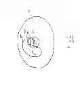Fig. 06 - Fuel burning system and method