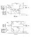 Fig. 32 - GENERAL HEALTH AND WELLNESS MANAGEMENT METHOD AND APPARATUS FOR A WELLNESS APPLICATION USING DATA ASSOCIATED WITH A DATA-CAPABLE BAND