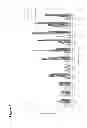 Fig. 03 - Dual probe assay for the detection of HCV