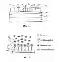 Fig. 02 - Materials and methods for detecting toxins, pathogens and other biological materials