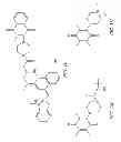 Fig. 06 - Chemical probe compounds that become fluorescent upon reduction, and methods for their use
