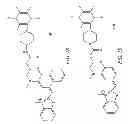 Fig. 08 - Chemical probe compounds that become fluorescent upon reduction, and methods for their use