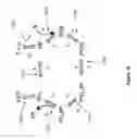 Fig. 11 - Single molecule sequencing with two distinct chemistry steps