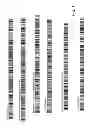 Fig. 02 - METHODS OF IDENTIFYING AN ORGANISM