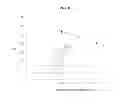 Fig. 12 - Sample preparation for in situ nucleic acid analysis, methods and compositions therefor