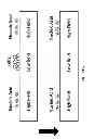 Fig. 07 - Nucleic acid sample preparation