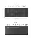 Fig. 02 - Method for evaluating and comparing immunorepertoires