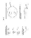 Fig. 03 - Methods and compositions for nucleic acid amplification