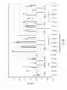 Fig. 24 - Polymerization of nucleic acids using proteins having low isoelectric points