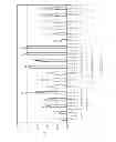 Fig. 25 - Polymerization of nucleic acids using proteins having low isoelectric points